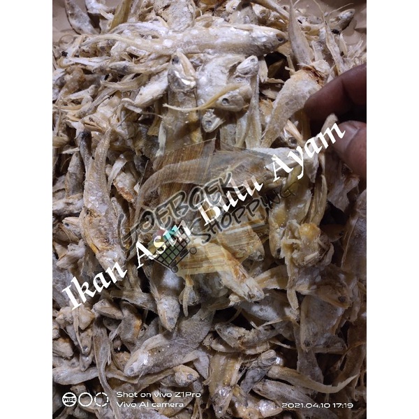 

Ikan Asin Bulu Ayam