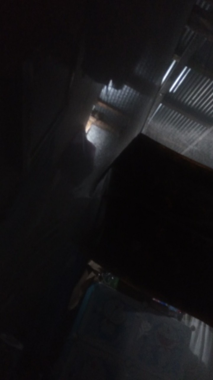 Racun Pembasmi Dan Pengusir Tikus Mobil Paling Ampuh Cikarang