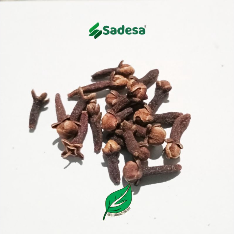 

Cengkeh Kering / Cloves / Rempah / Herbal Premium