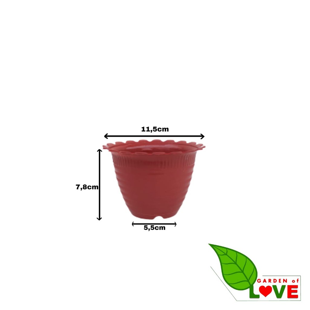 Pot Tawon Dahlia Super Tawon 10 Garden Of Love Pot Tawon Putih Pot Kaktus cactus Mini Minimalis Lucu Murah