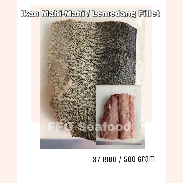 

Ikan Mahi - Mahi / Lemedang Fillet 500 gram