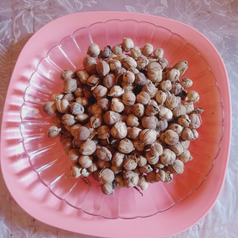 

Buah kapulaga kering 50 gram