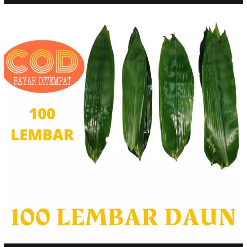 

Daun bambu segar untuk bungkus bacang dan lain lain
