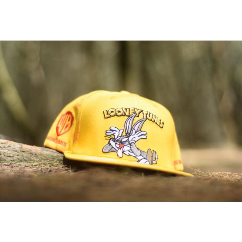 Topi Snapback Import looney tunes Baseball Cap Distro Fashion Pria Wanita Hip Hop Hat Dewasa