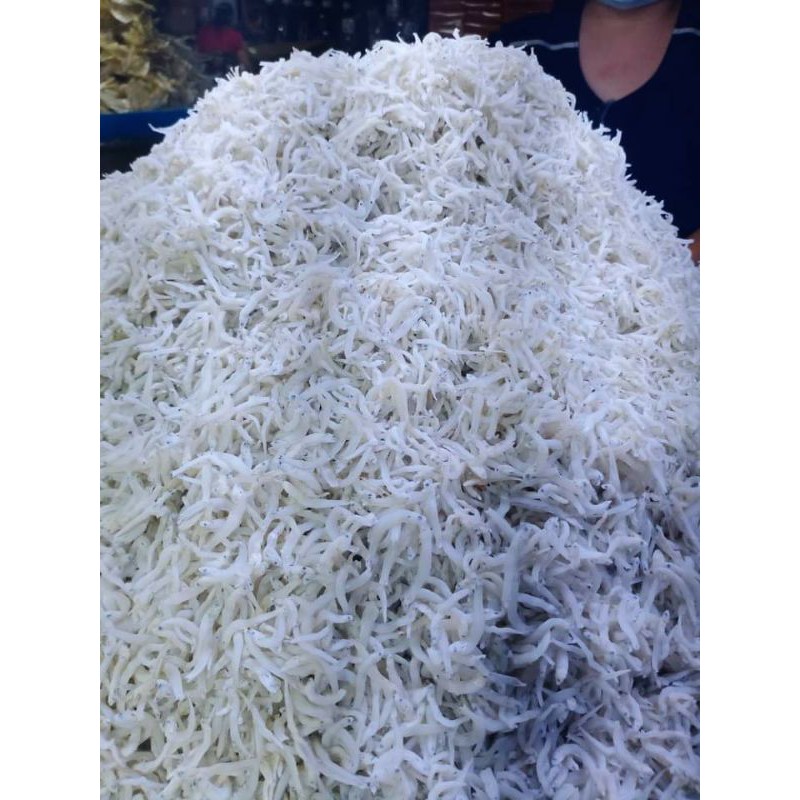 

Ikan Teri Medan 500gram asli dari medan