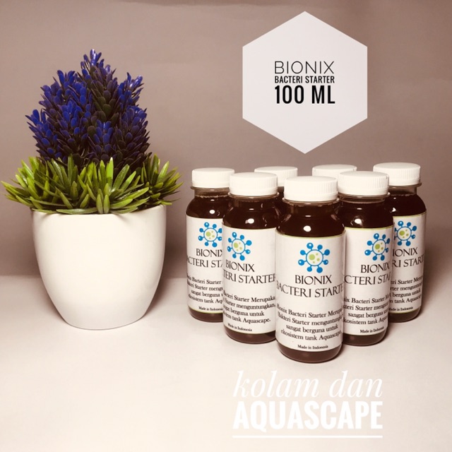 Bacteri starter aktif untuk aquascape dan kolam 100ml