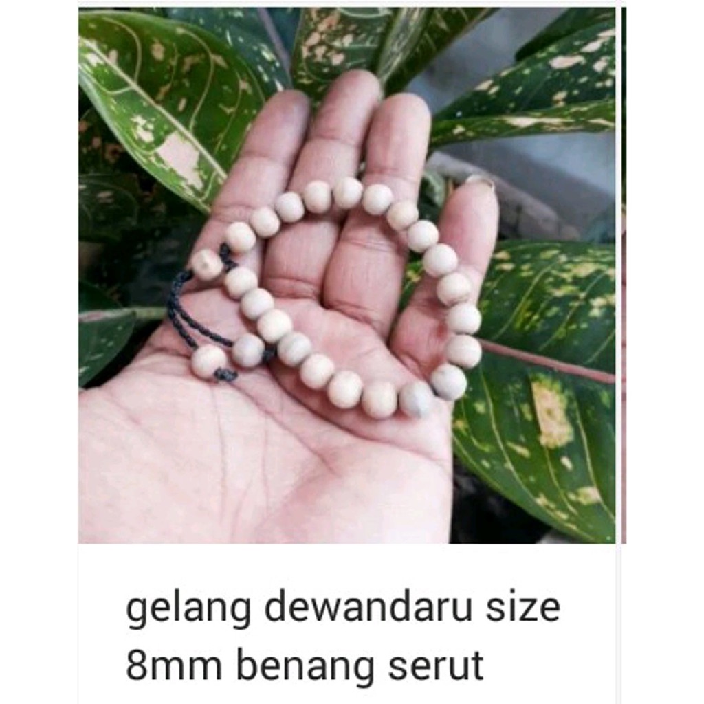 GELANG KAYU NDARU Terlaris