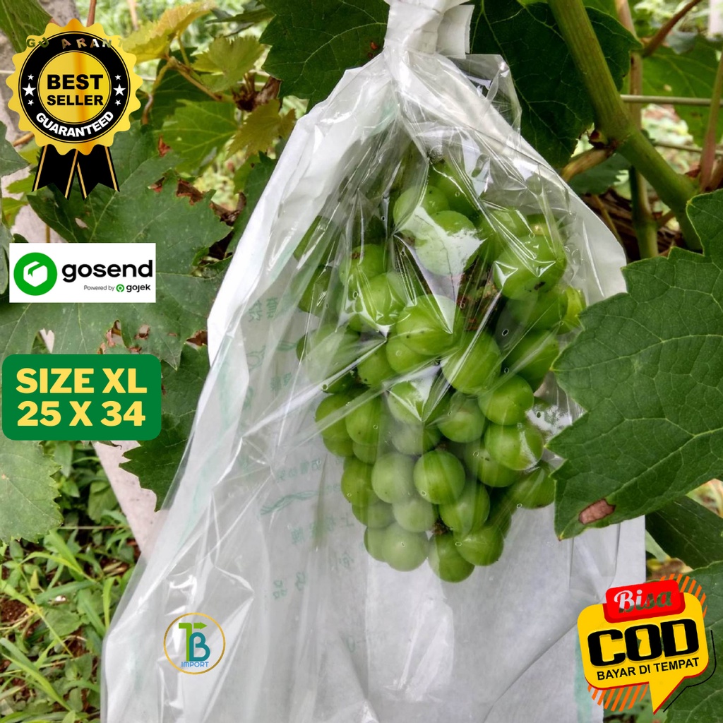 Pembungkus Buah Brongsong Buah Transparan Fruit Cover Waterproof Anggur Jambu Ukuran 25 x 34