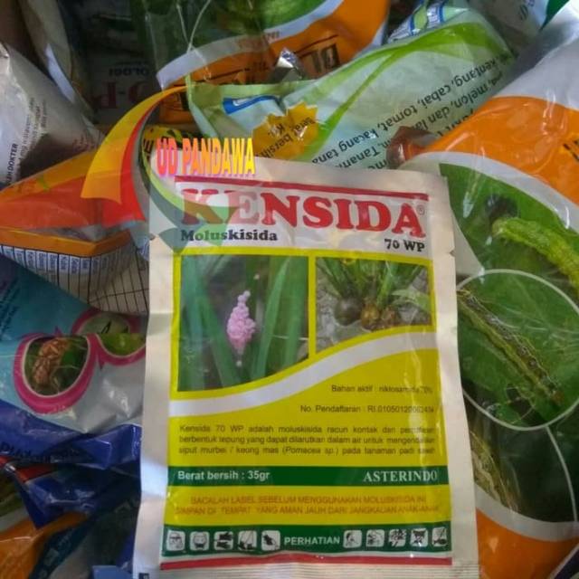 Kensida 70WP, pembasmi keong siput sawah