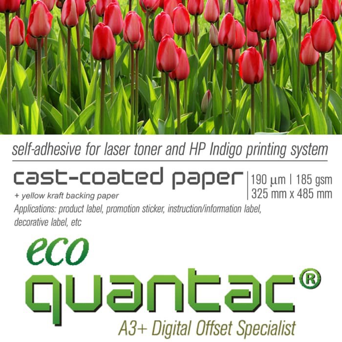 Quantac stiker A3+ chromo