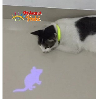 Mainan Kucing Laser Lampu Senter Bentuk Tikus / Tulang Ikan / Cakar