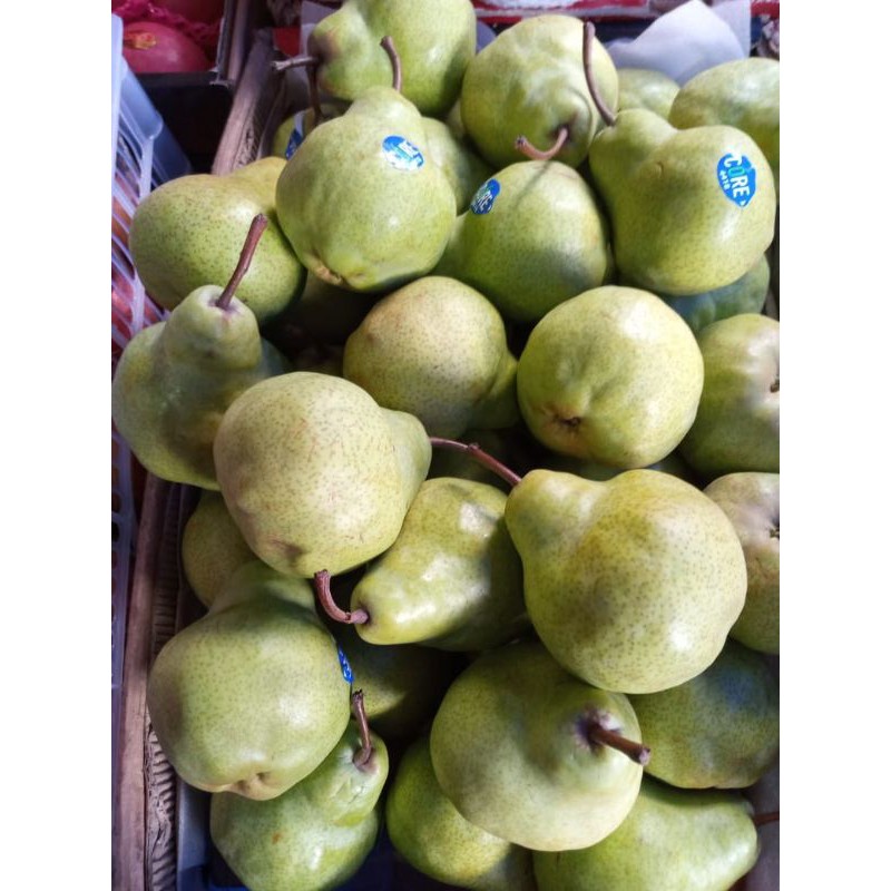 

BUAH SEGAR ALBAROKAH-B7AH PEAR PAKHAM /PIR JAMBU/PEAR IJO