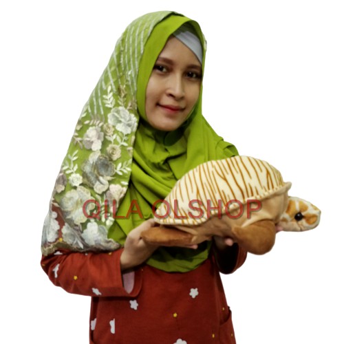 Boneka Kura Kura M Murah