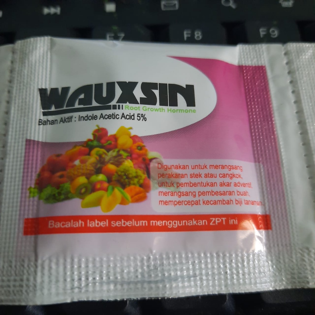WAUXSIN ZPT AKAR TANAMAN