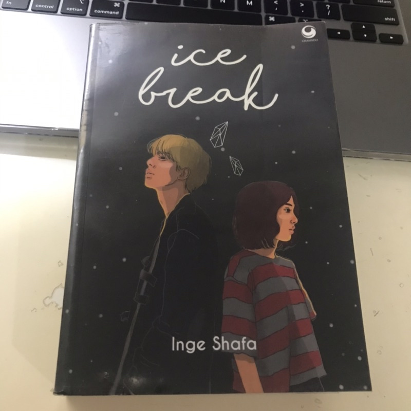 Preloved Novel Ice Break By Inge Shafa