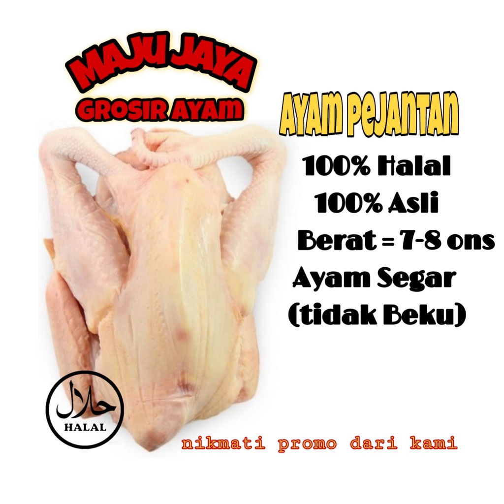 AYAM PEJANTAN 7 -8 ons / AYAM UTUH / AYAM FERSH / AYAM BERKUALITAS/ AYAM MURAH / AYAM GROSIR / AYAM BERSIH