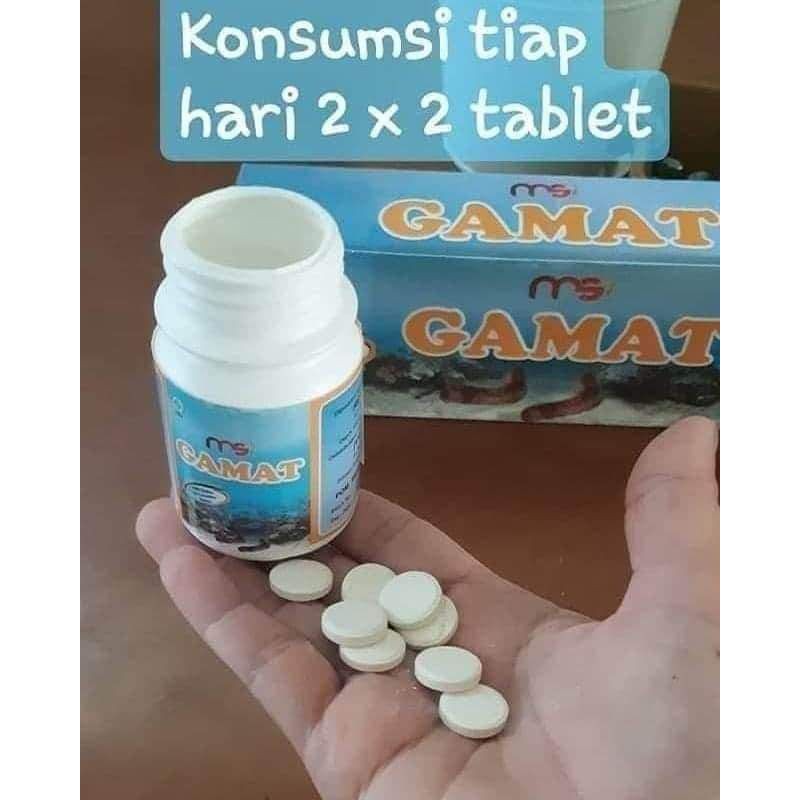 Gamat ori original msi