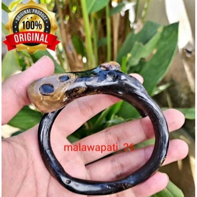 GELANG AKAR BAHAR BONGGOL ASLI / GELANG AKAR BAHAR ASLI / GELANG KESEHATAN / GELANG TANGAN / AKAR BAHAR