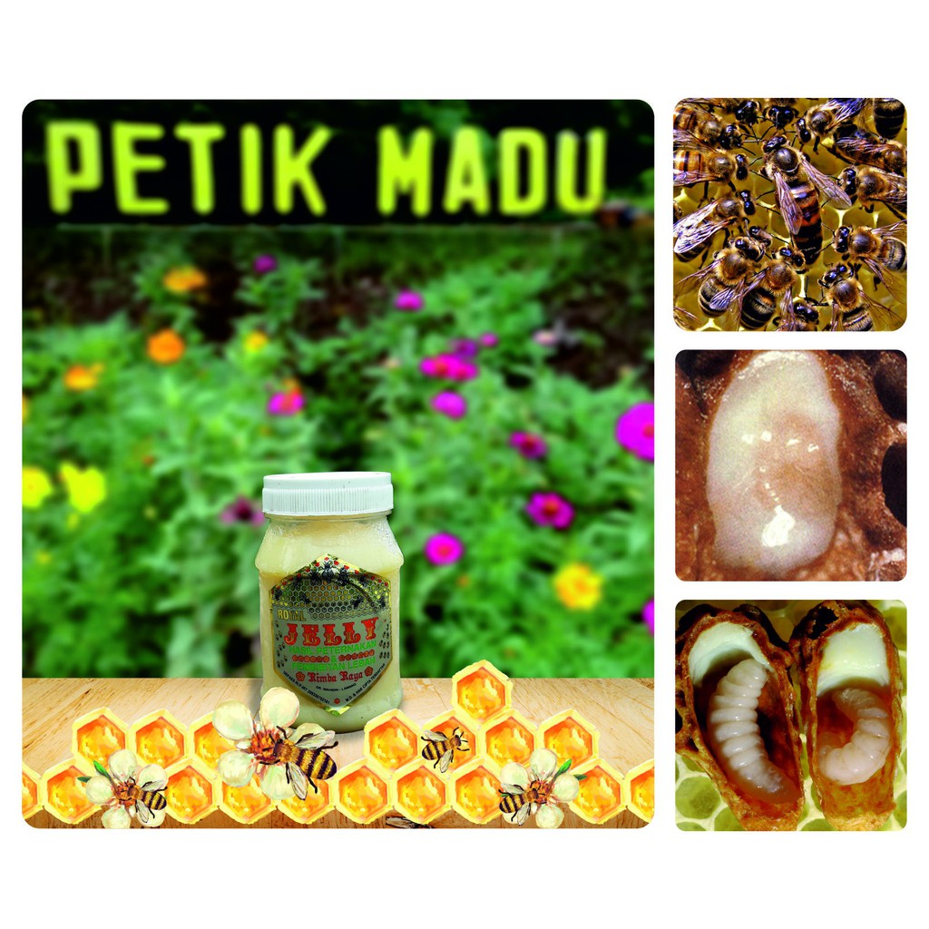 

Royal Jelly Asli Murni 250gram & 100gram