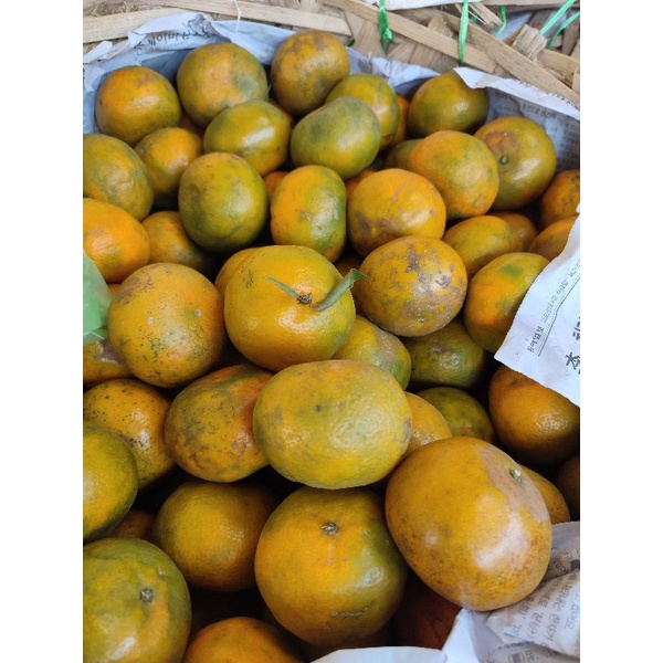 

Jeruk Medan berastagi Manis by Bang Dame