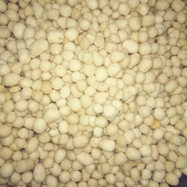 

Sukro cikur 1 kg