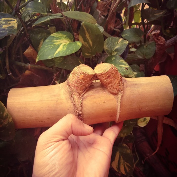 Bambu Pethuk Petuk Koclak Besar Termurah