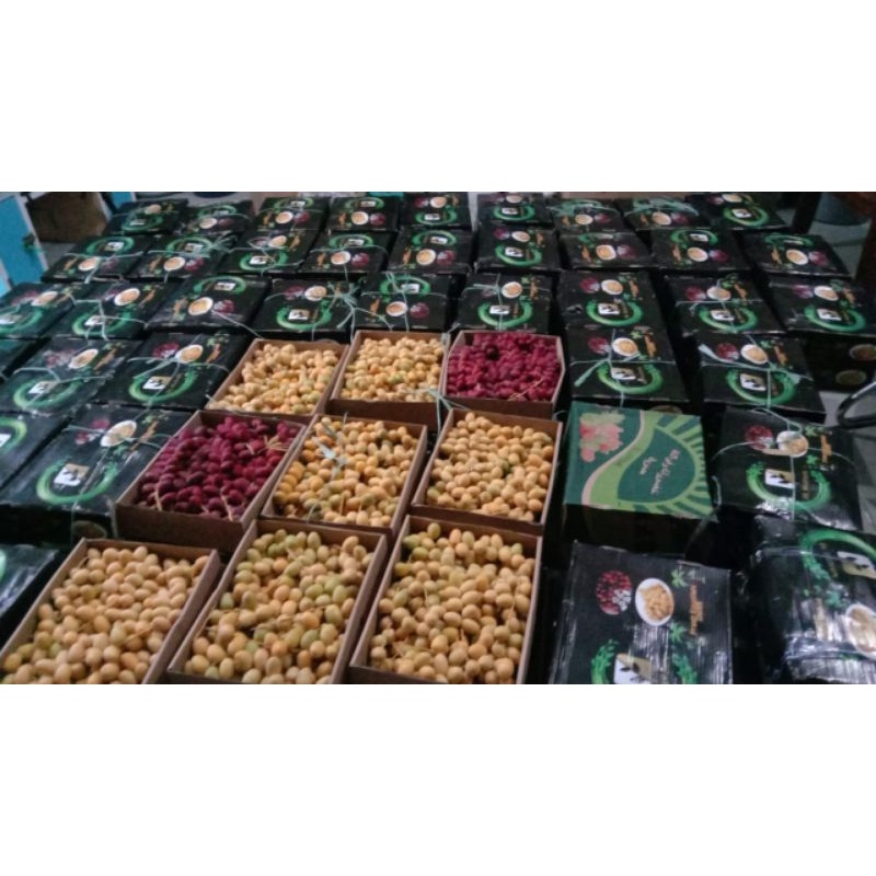 

Kurma Muda - Barhee Kuning dan Erbi Merah