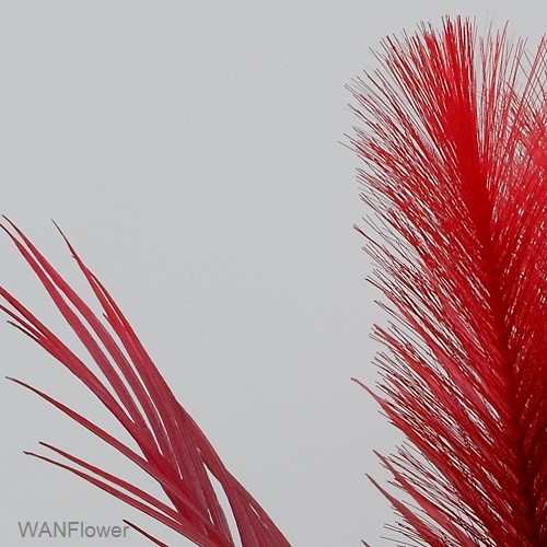 WANFLOWER Palem Bulu 5B3D * MERAH