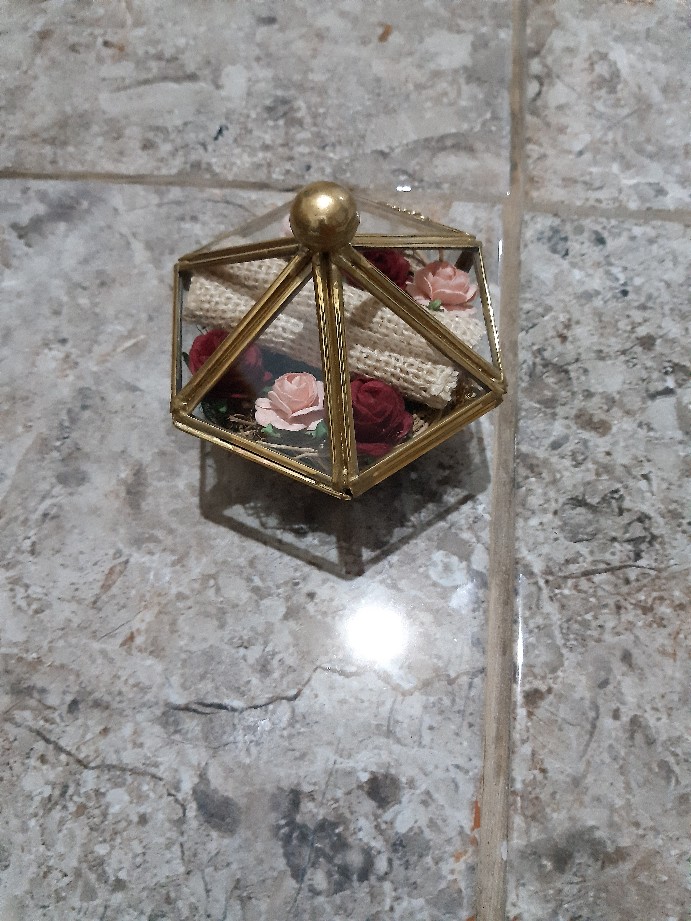 Ringbox Terrrarium Only Mini