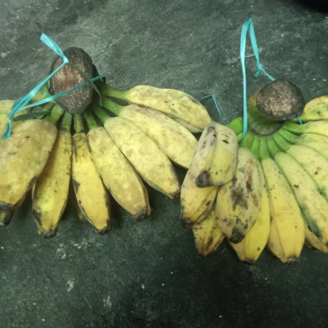 

Buah pisang kepok madu isi kuning