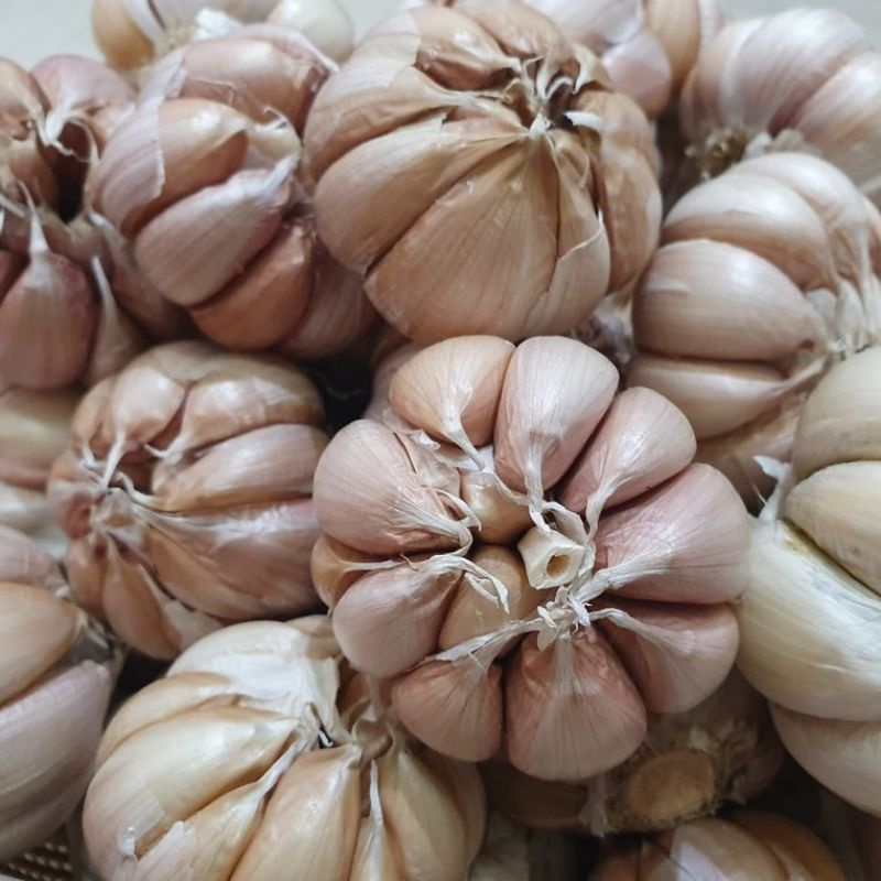 

BAWANG PUTIH 1KG