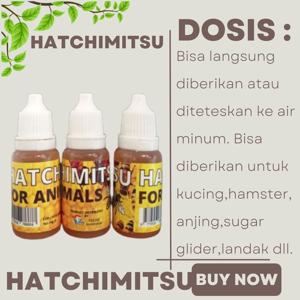 Madu Alami Murni 100% Kesehatan Hewan Sugar Glider Landak Kucing hamster 10ml FEZONE