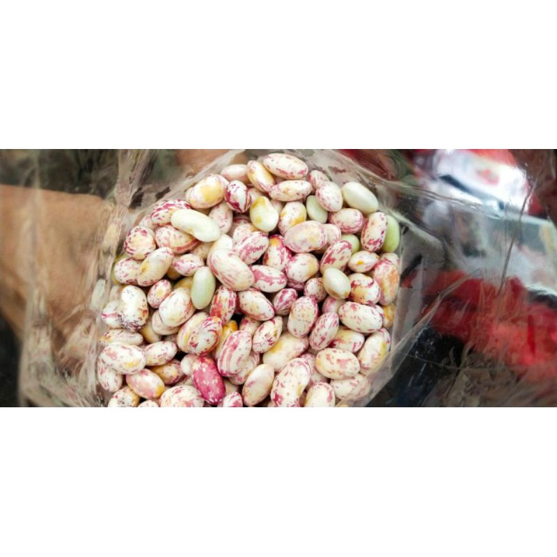 

KACANG JOGO KUPAS PUTIH 500GRAM