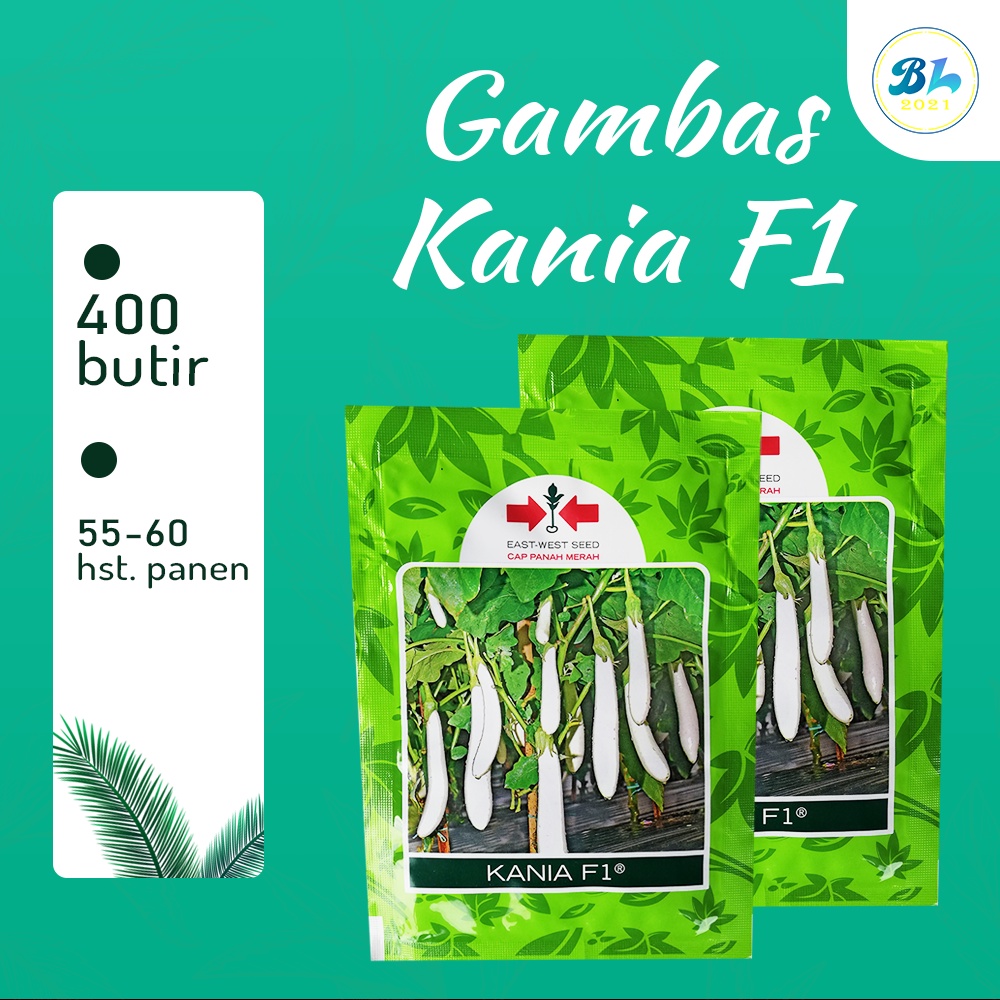 Benih Terong Putih Kania 400 Butir– Cap Panah Merah