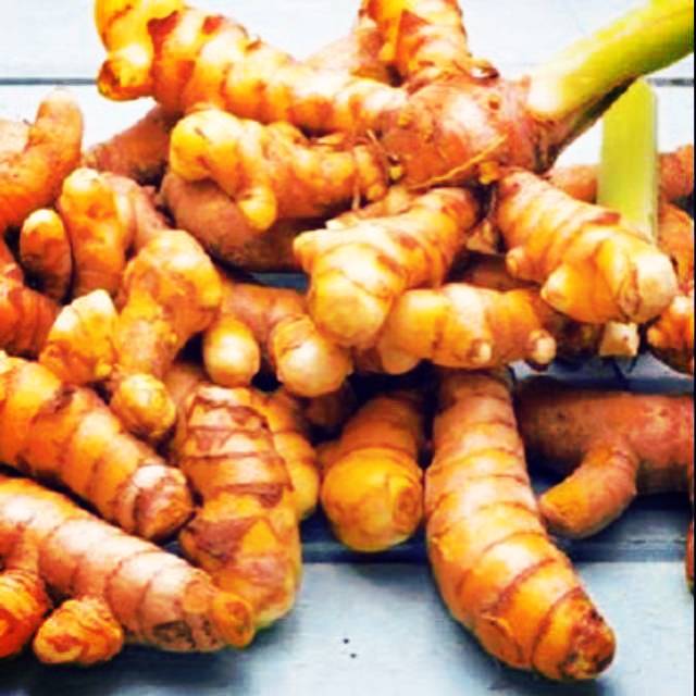 

Kunyit segar baru ambil dari kebun 1kg