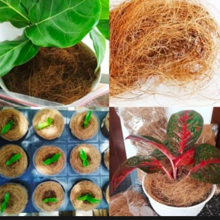 sabut kelapa 1kg - Coco fiber - Coco fiet - media tanaman hias