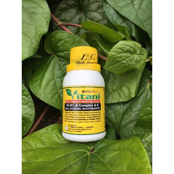 Vitani Vitamin B1 Tanaman