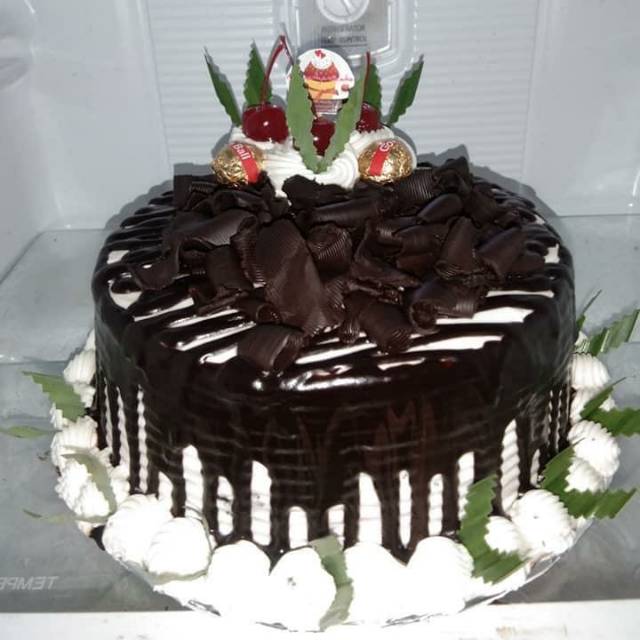 

Blackfores full coklat