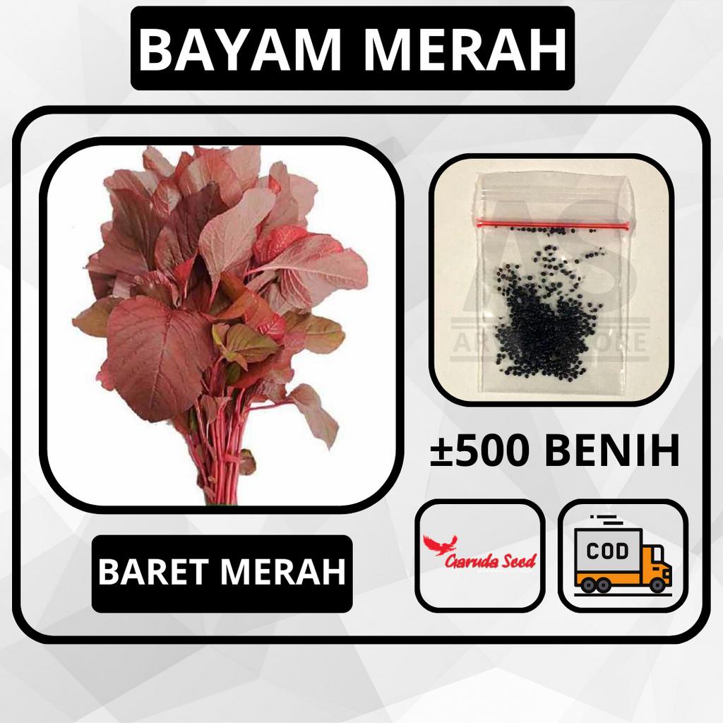 ±500 Butir - Benih Bayam Merah BARET MERAH Bibit Sayuran Tanaman Hidroponik Biji Garuda Seed