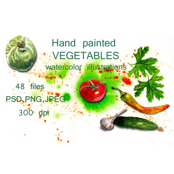 Watercolor Illustrations Vegetables