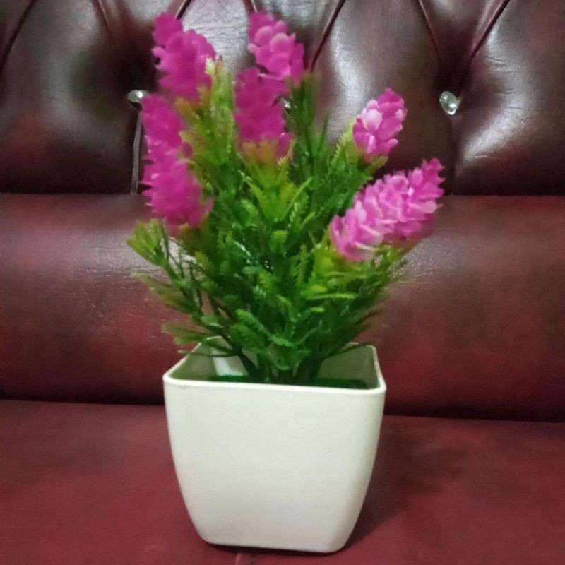 

bunga
