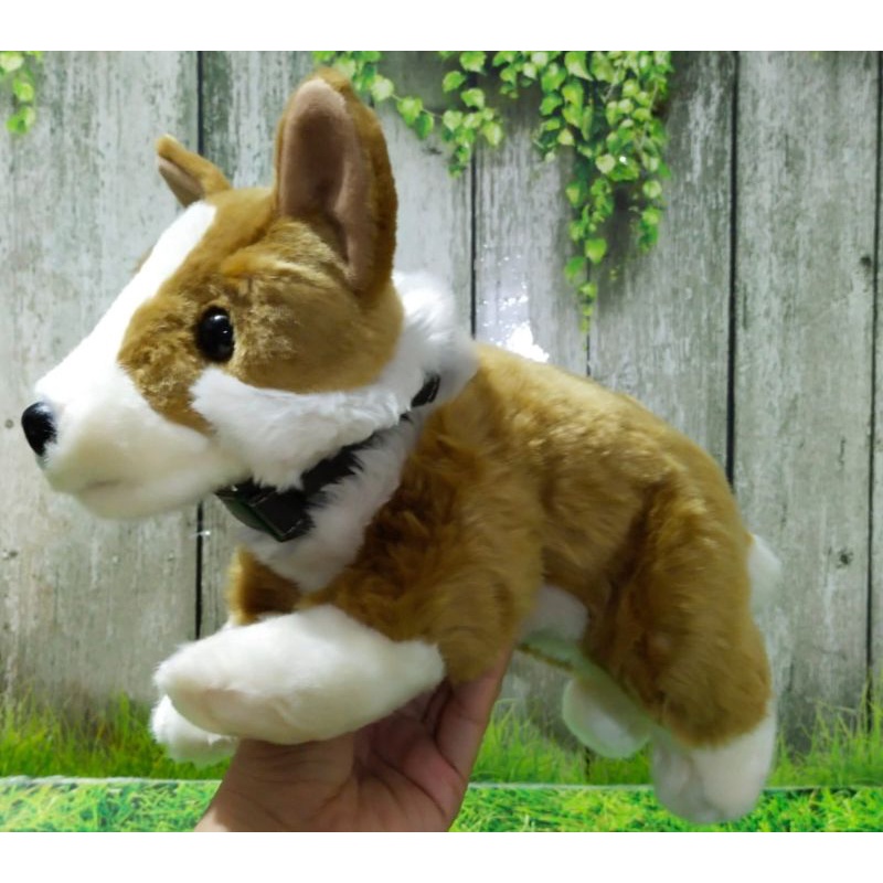 Boneka Anjing Corgi