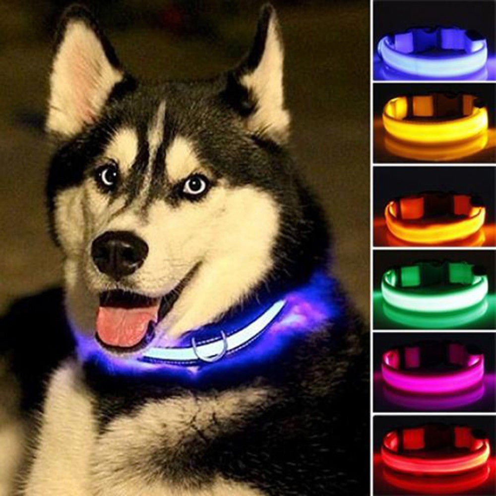 Tali Kerah Anjing Peliharaan Bahan Nilon Dengan LED Luminous Fluorescent Untuk Keamanan Malam Hari