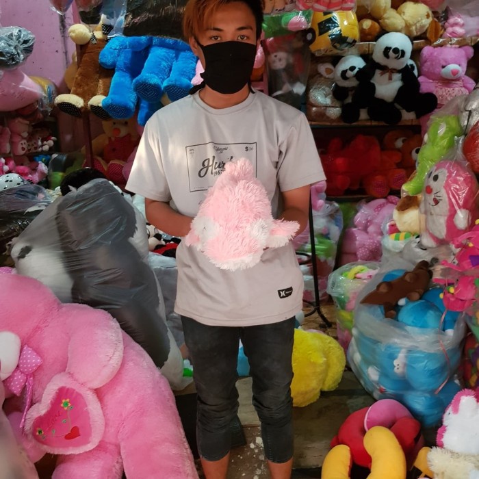 Diskon Spesial Fto Asli Boneka Ikan Baby Shark Dolphin Dolpin Lumba Lumba Paus Pink J Termurah