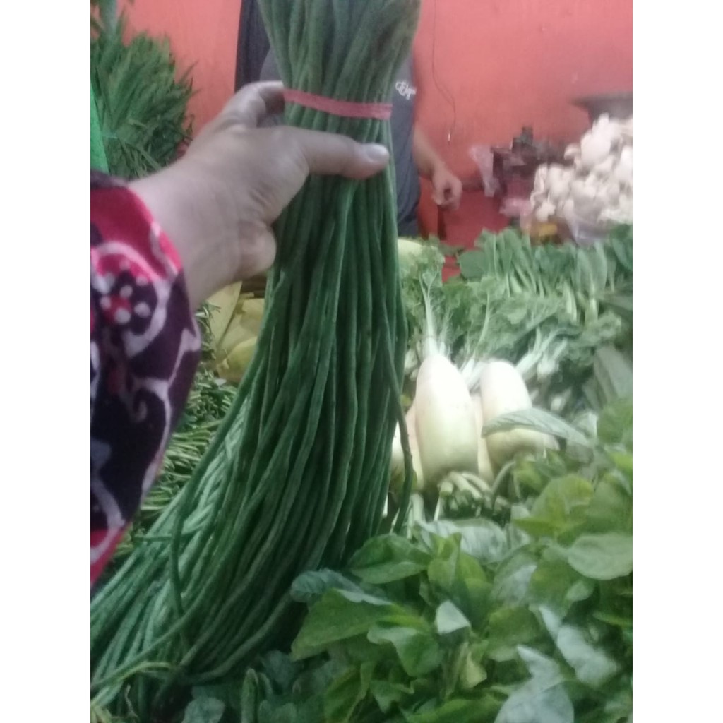 

Kacang Panjang