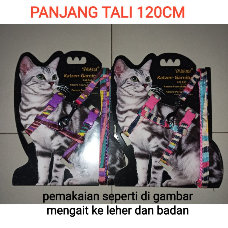 tali harnes kucing tali tuntun kucing motif belang