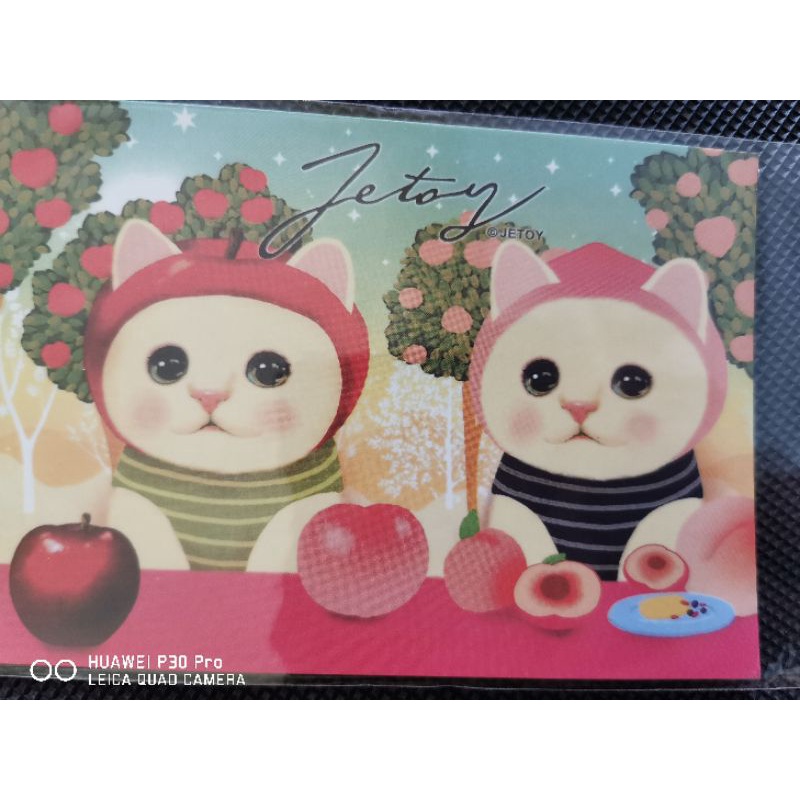 

kartu pos kucing jetoy/jetoy cat postcard