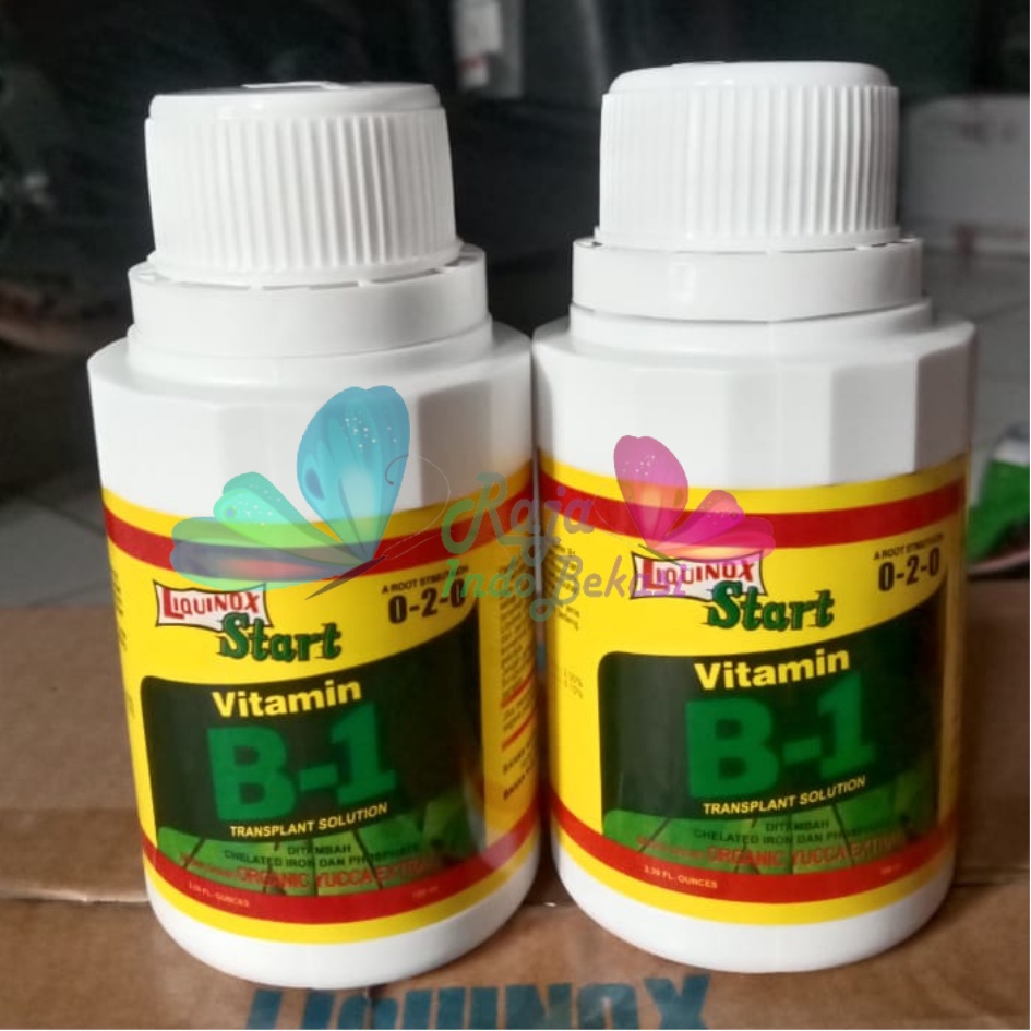 Ori B1 Liquinox 100 Ml Penumbuh Akar Obat Anti Stres Vitamin Nutrisi B1 Tanaman Bibit Stek Cangkok