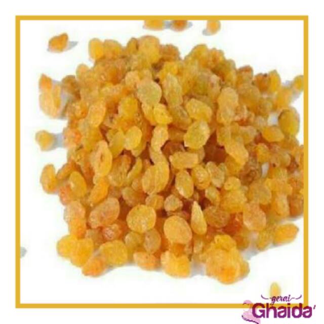 

Kismis Raisin Gold 0,5 Kg Oleh Oleh Haji Umroh