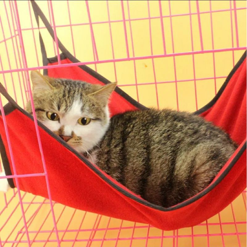 Ayunan kucing cat hammock tempat tidur gantung kandang hewan pet cage musang tupai